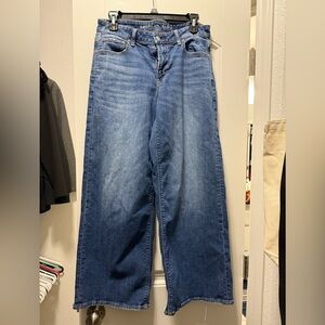 American Eagle Outfitters Blue Flare Jeans